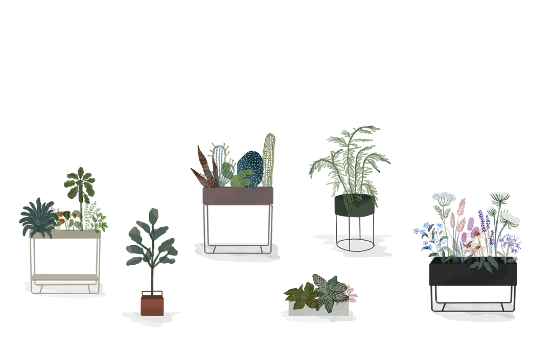 Plant Box Guides