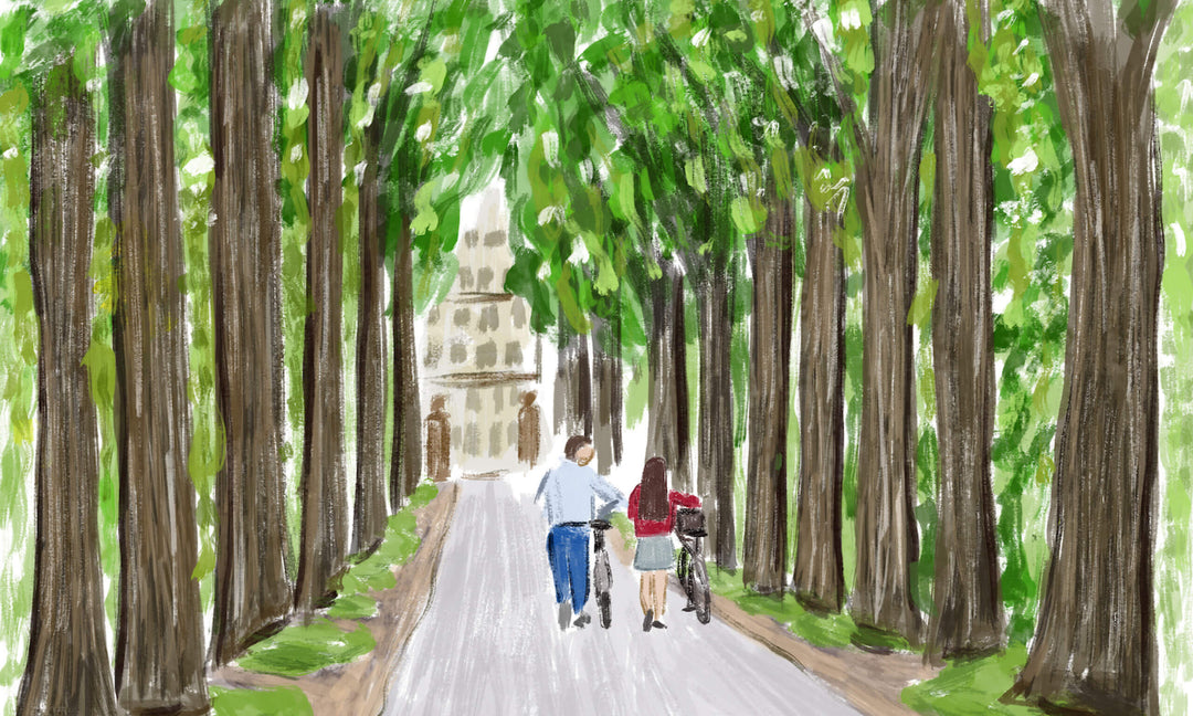 The Copenhagen City Guide