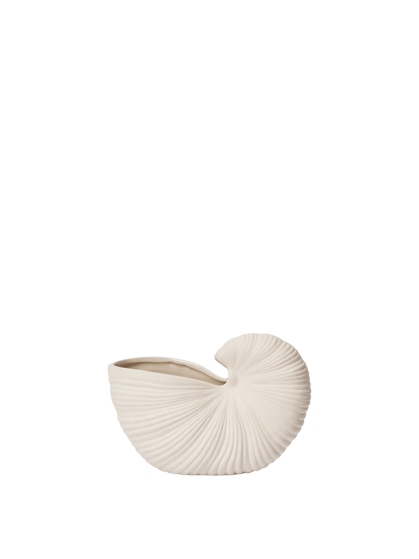 Shell Pot - Medium - Off-White