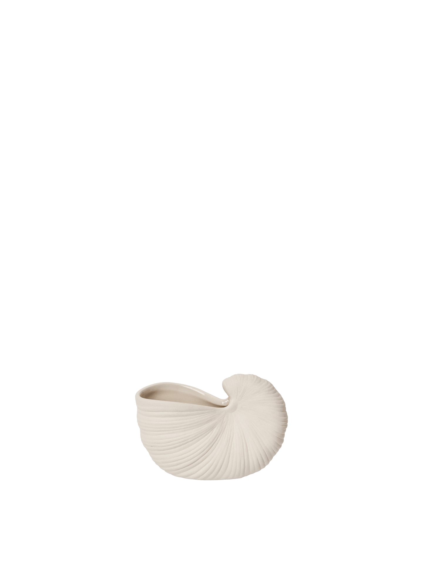 Shell Pot - Small - Off-White