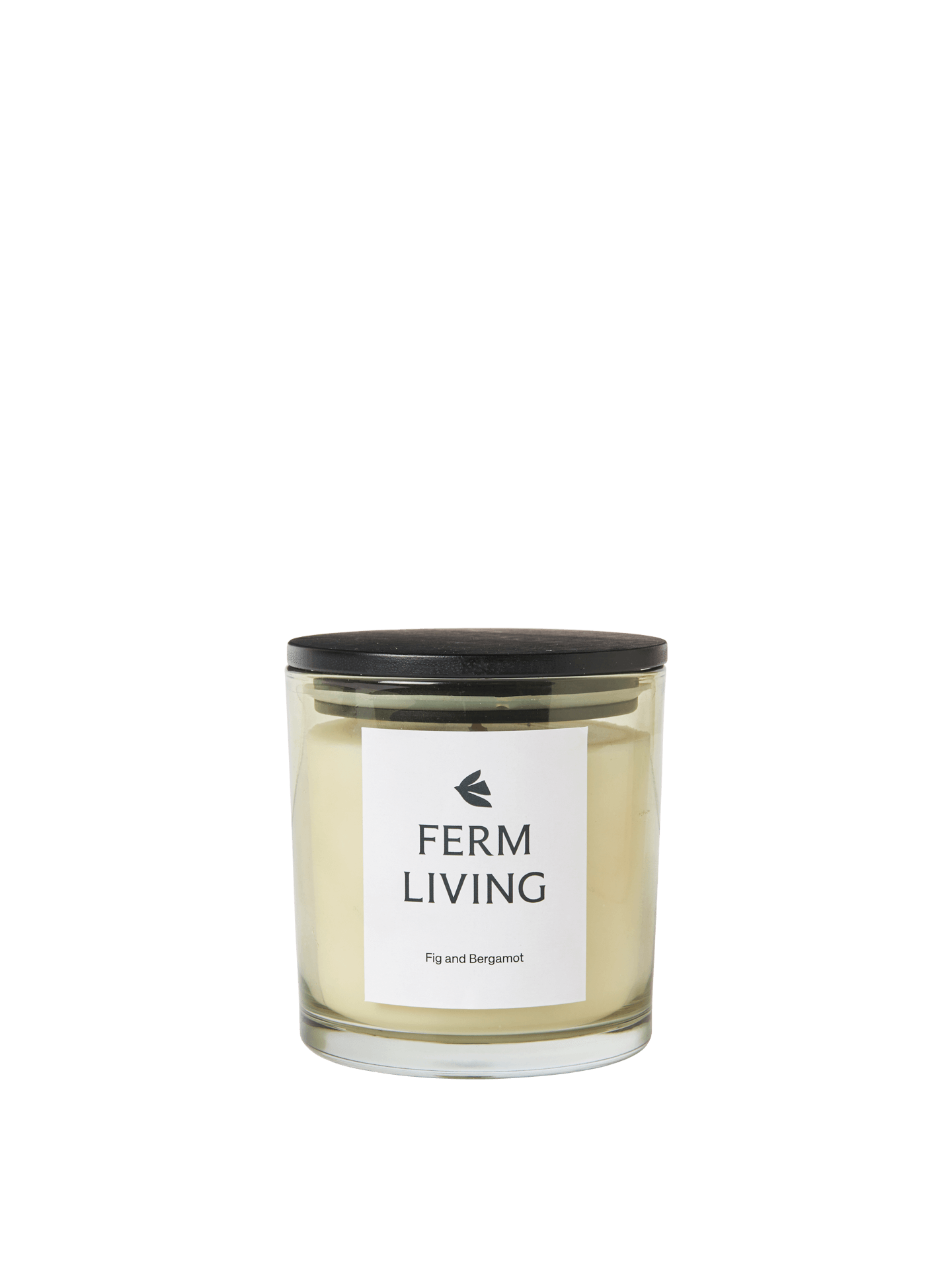 Vitto Scented Candle - Small - Light Celedon