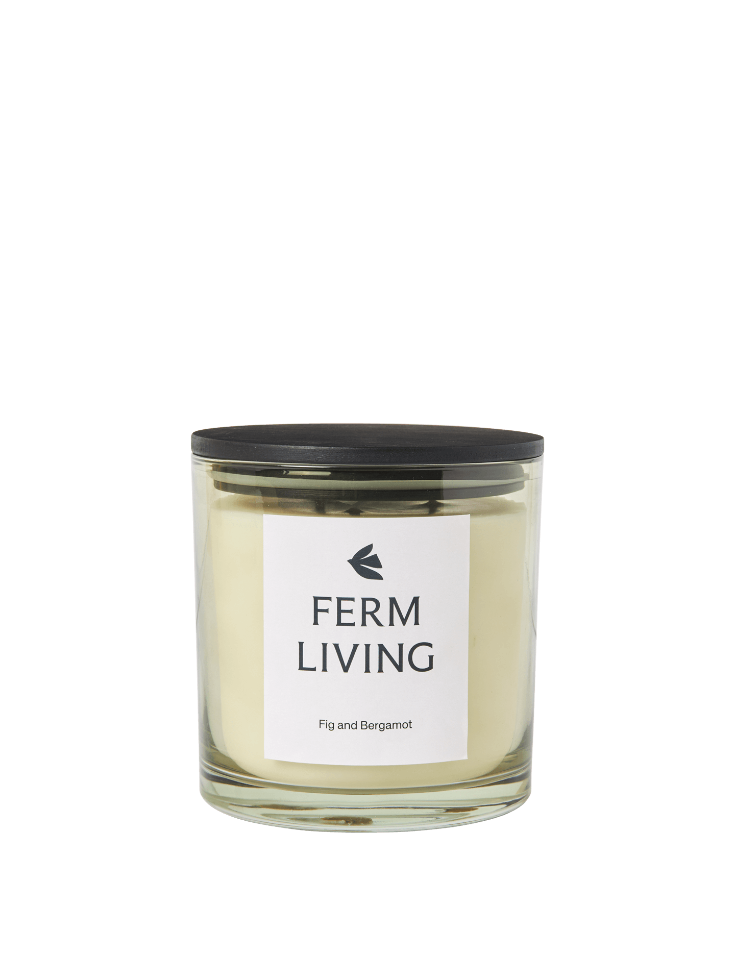 Vitto Scented Candle - Large - Light Celedon