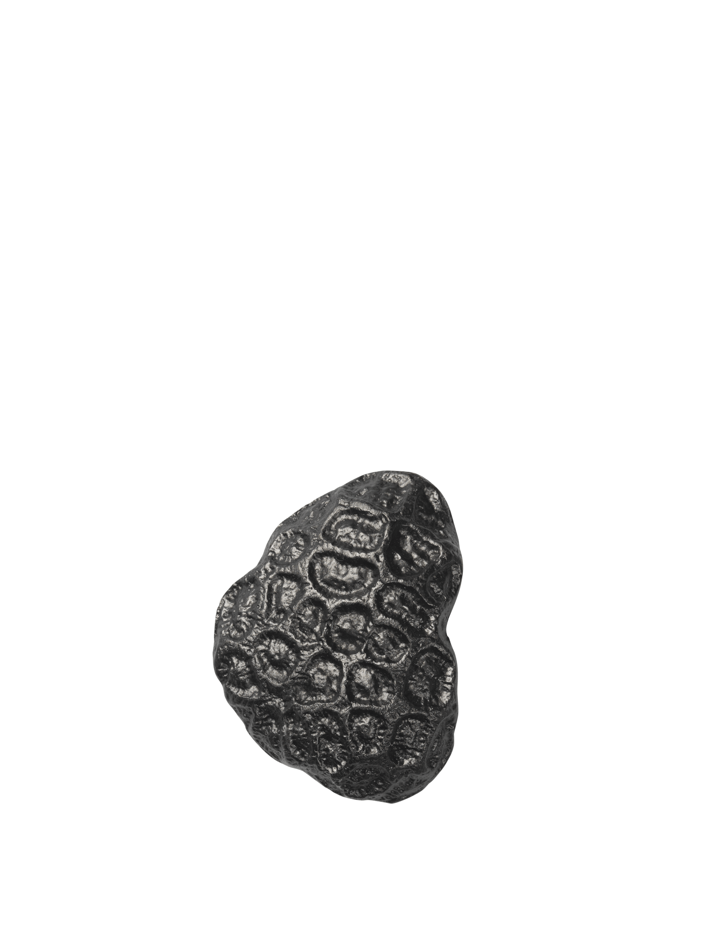 Comber Coral Hook - Blackened Aluminium