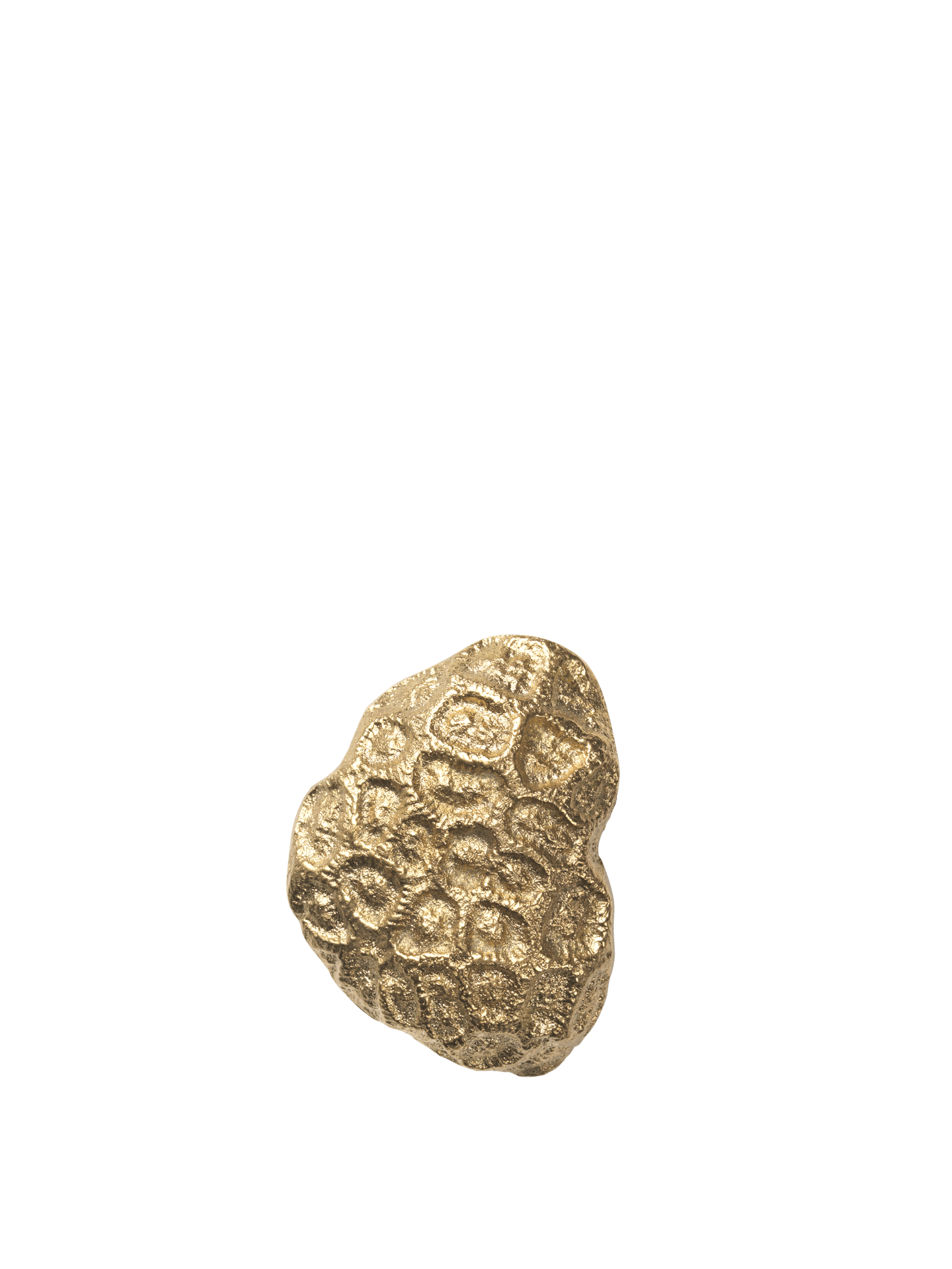 Comber Coral Hook - Brass