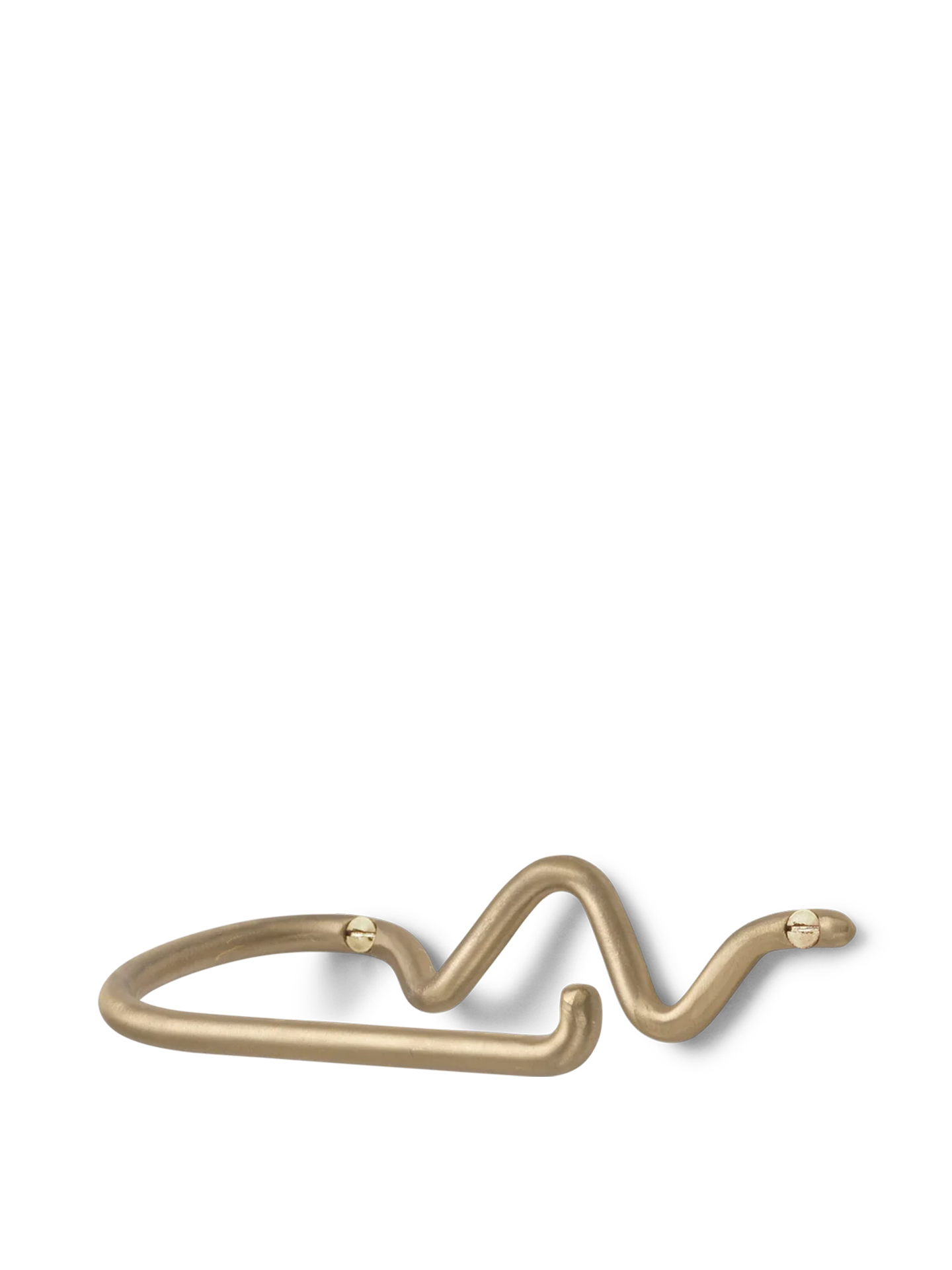 Curvature Toilet Paper Holder - Brass