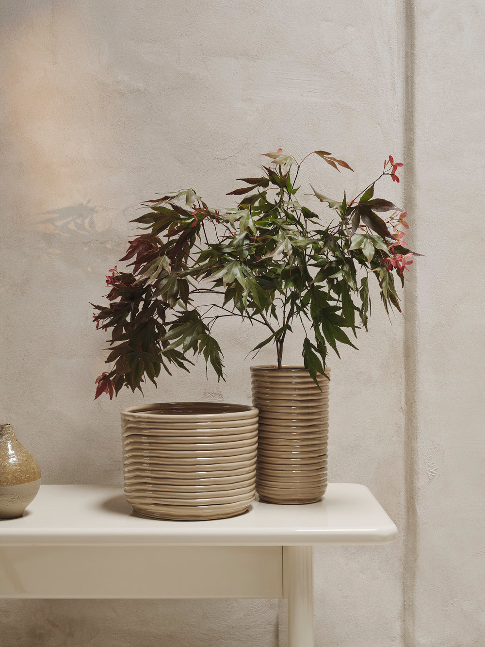 Corduroy Vase - Beige