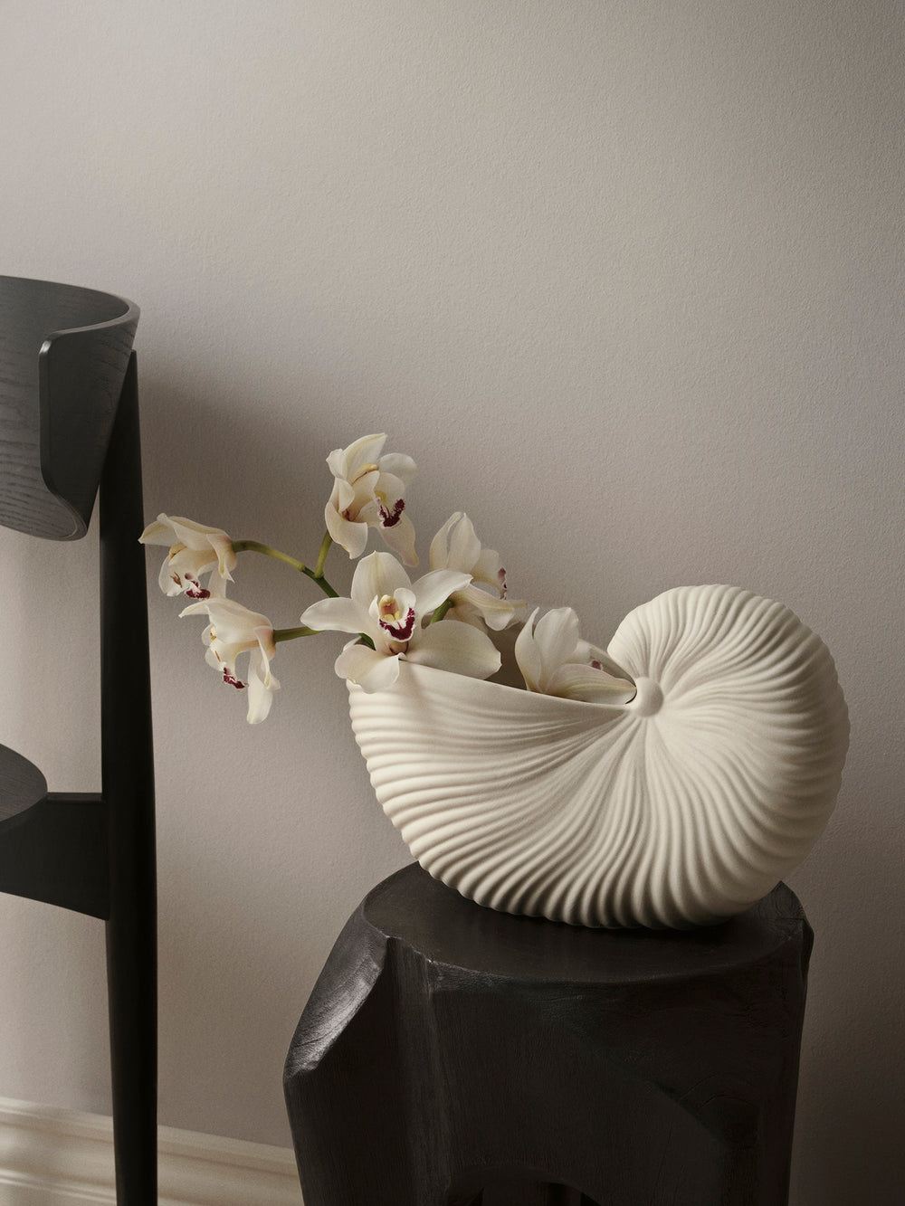 Shell Pot - Large